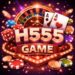 H555 Game